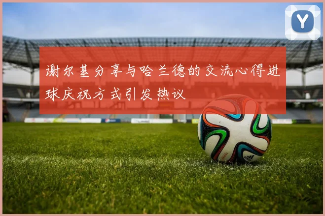 谢尔基分享与哈兰德的交流心得进球庆祝方式引发热议