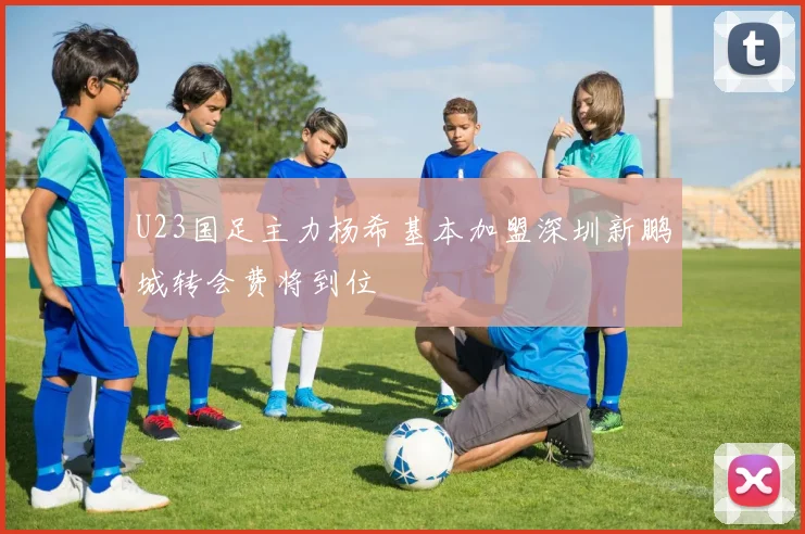 U23国足主力杨希基本加盟深圳新鹏城转会费将到位