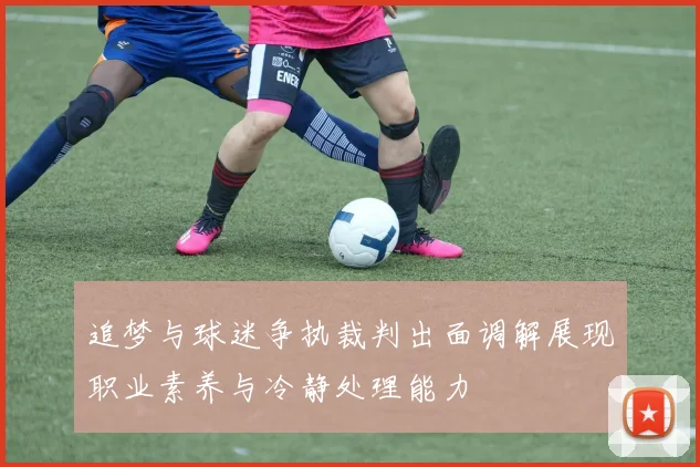 追梦与球迷争执裁判出面调解展现职业素养与冷静处理能力