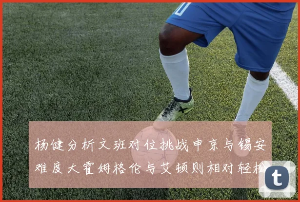 杨健分析文班对位挑战申京与锡安难度大霍姆格伦与艾顿则相对轻松