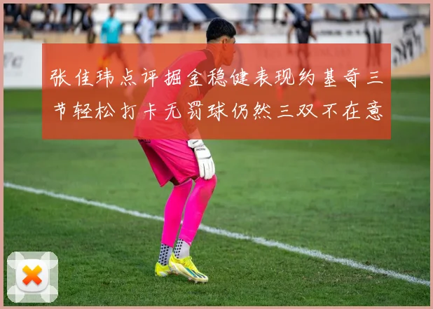 张佳玮点评掘金稳健表现约基奇三节轻松打卡无罚球仍然三双不在意